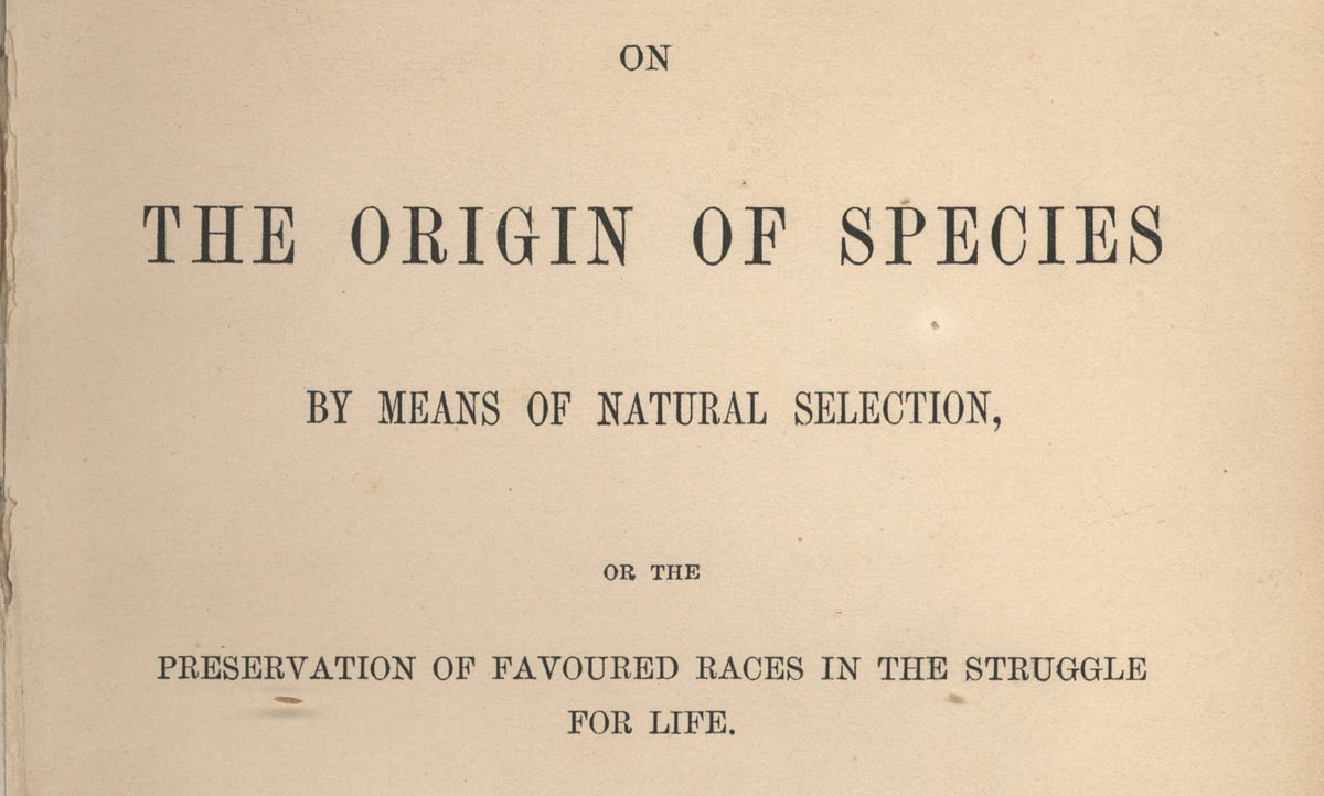 Ben fry thesis image