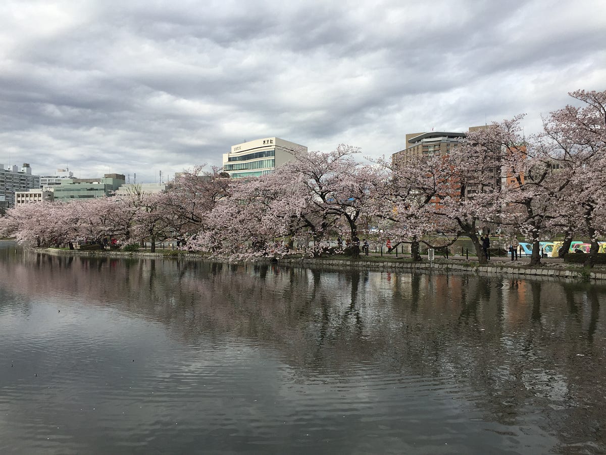 Cité Du Japon En 3 Lettres Tokyo : lost in transition. A Tokyo depuis 4 jours pour raisons… | by