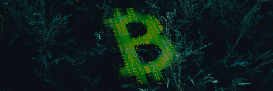 Analysis Of First Day With Bitcoin And Bitcoin Cash - 