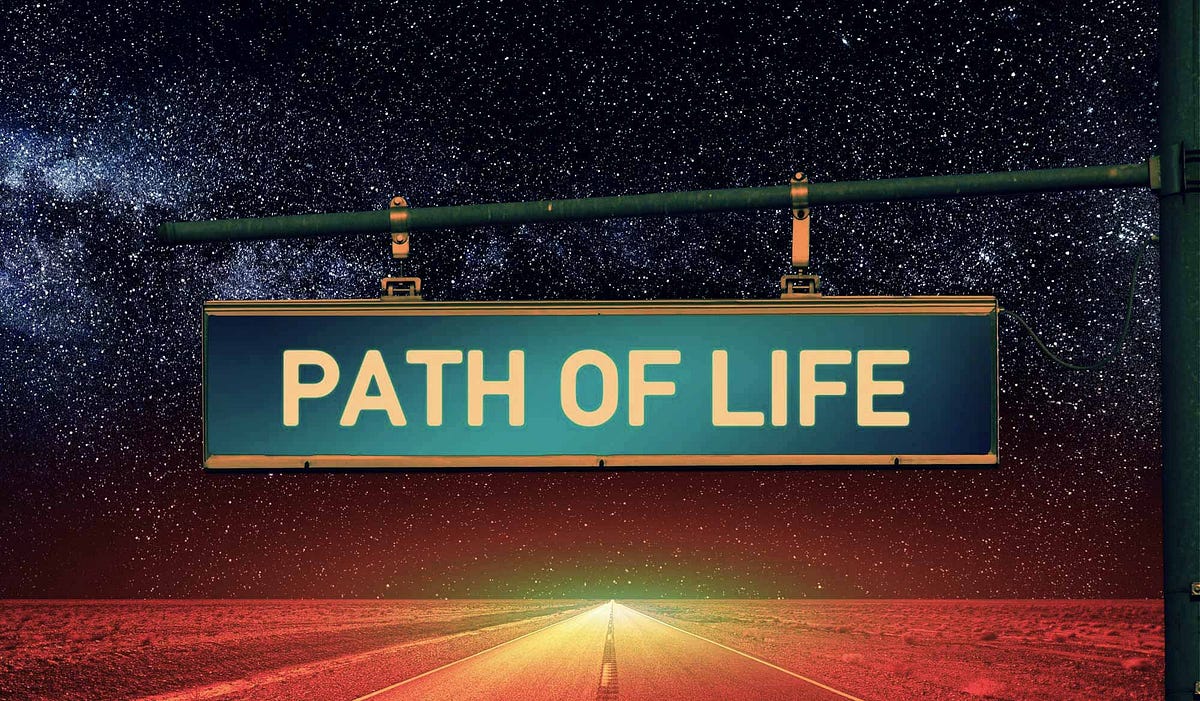 Your Journey Down the Path of Life