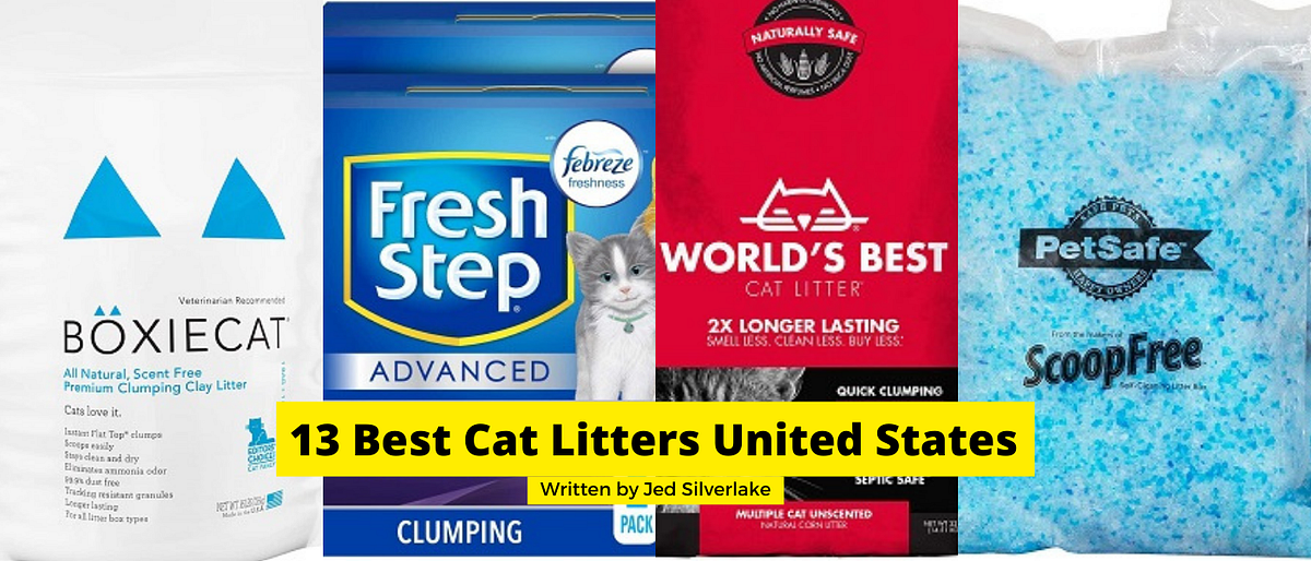 13 Best Cat Litters United States 2022 by Jed Silverlake Medium