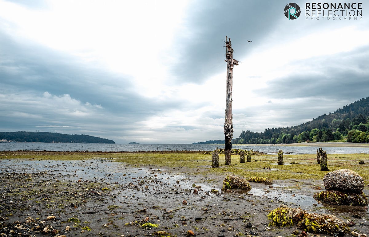 Photograph Of The Day 08/11/17. Location Nanoose Bay. Vancouver… by