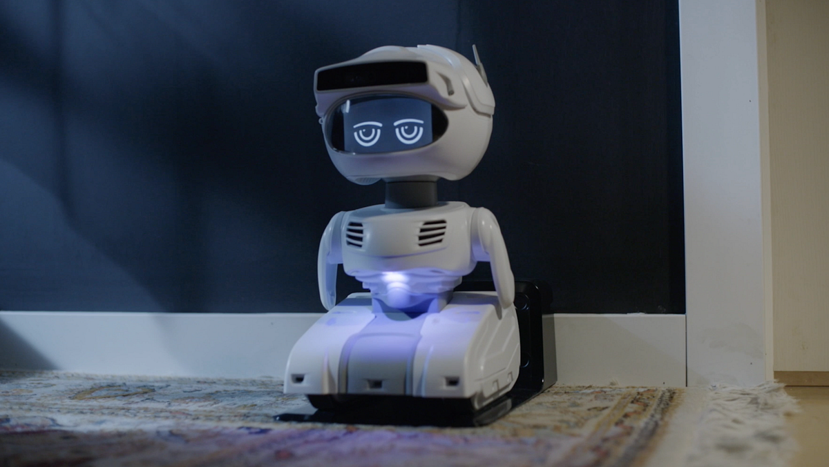 misty robot price