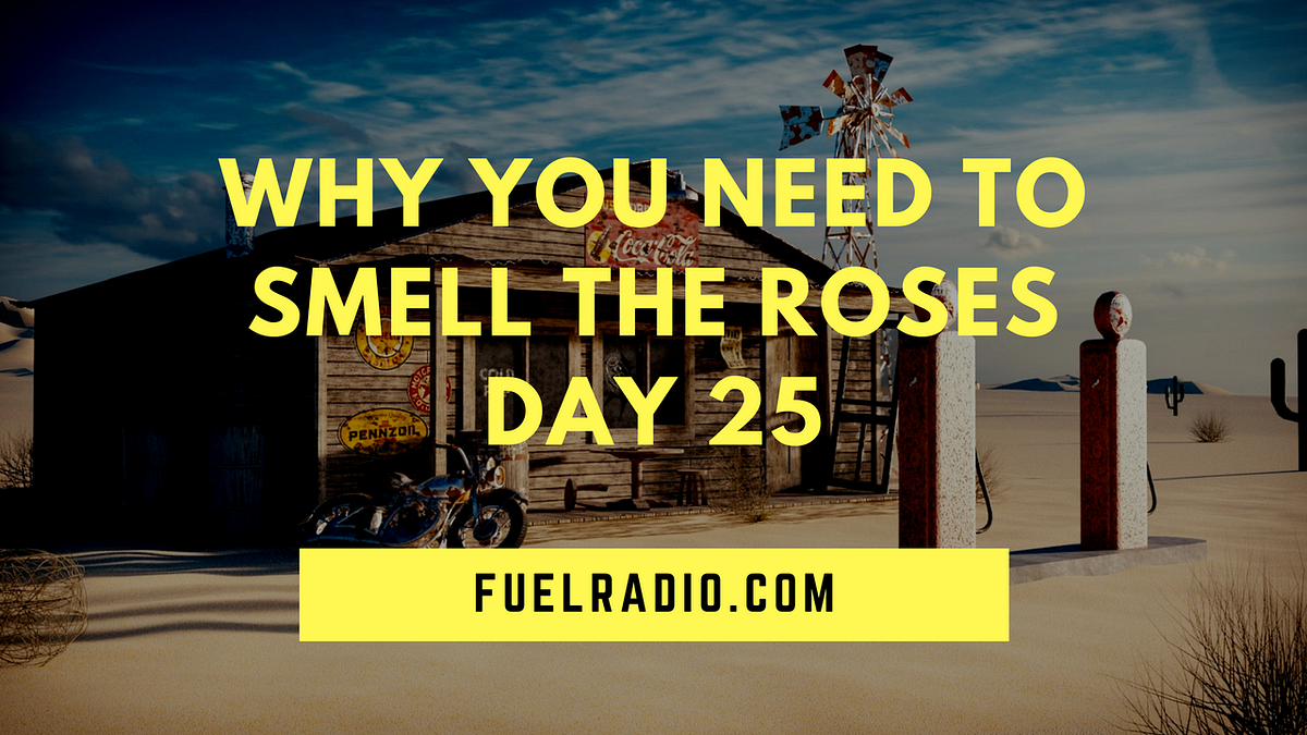 Why You Need to Smell The Roses — Day 25 by Rod Janz Medium