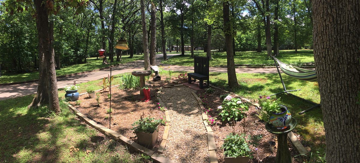 Red Dirt Ranch part 5 Garden update by Yvette Walker of the