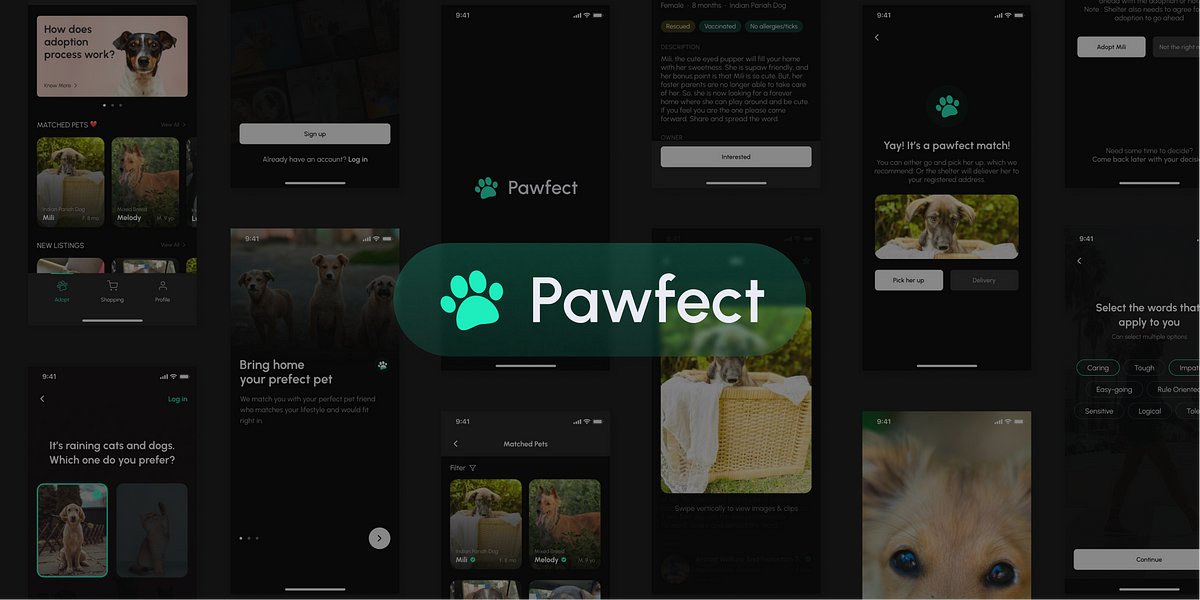 Pawfect — Adopt A Pet | Design Assignment | by K B Anurag Krishna | UX Planet