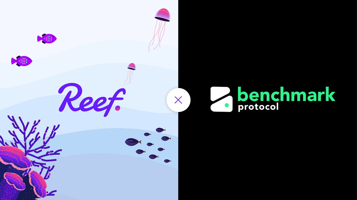 Reef Finance partners with Benchmark to integrate xMARK into the Reef Ecosystem
