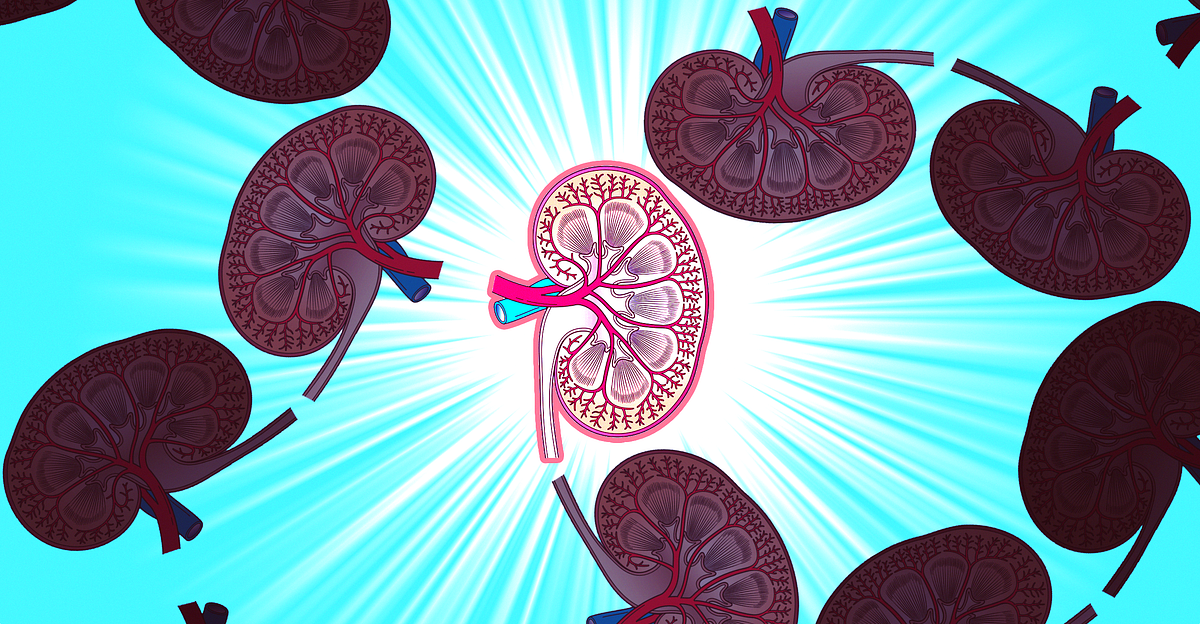 I Just Donated A Kidney. Will You Consider Doing The Same? by