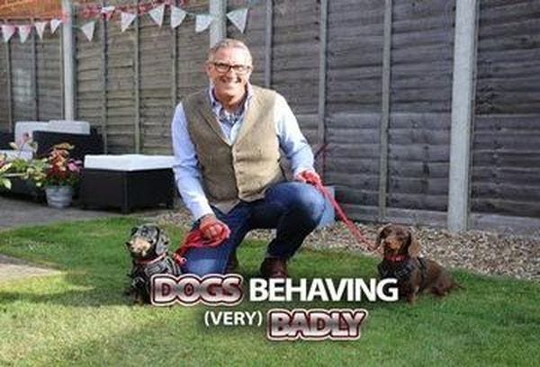 dog behaving badly