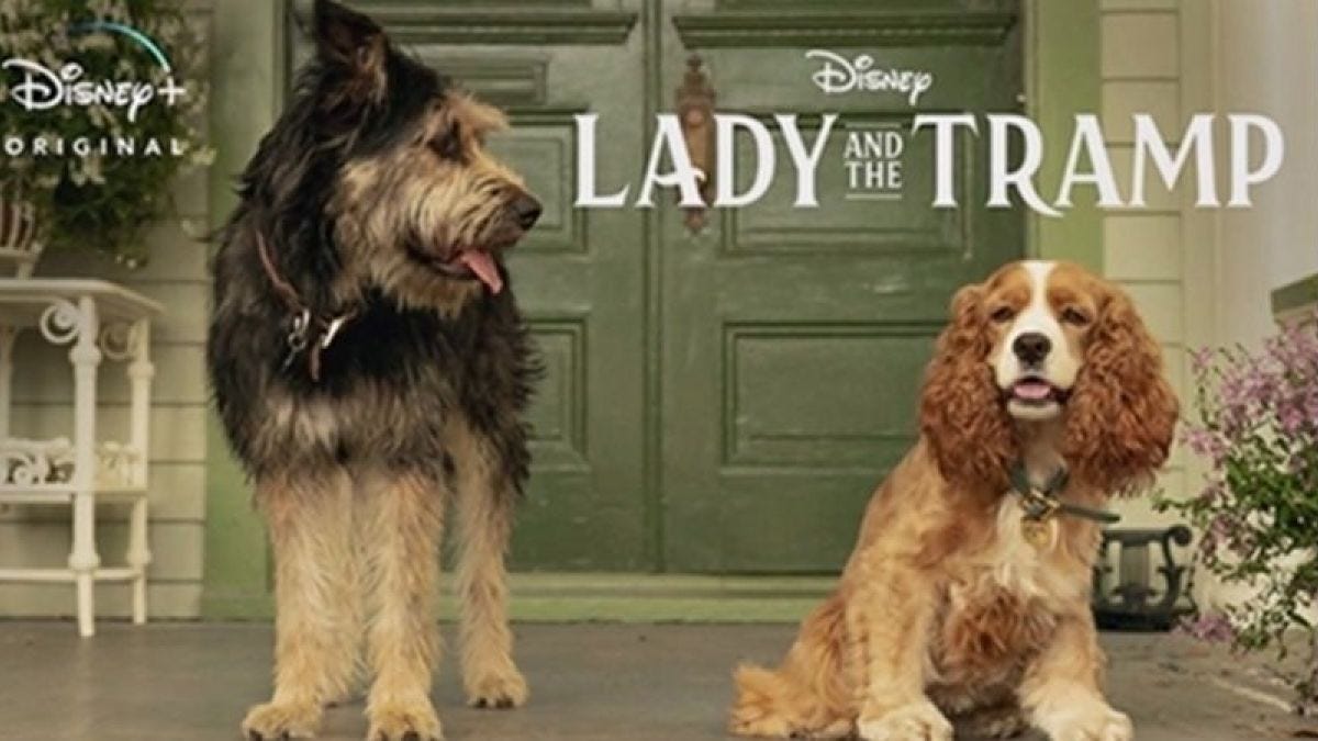 Ver La Dama y el Vagabundo Pelicula Completa En Español ...