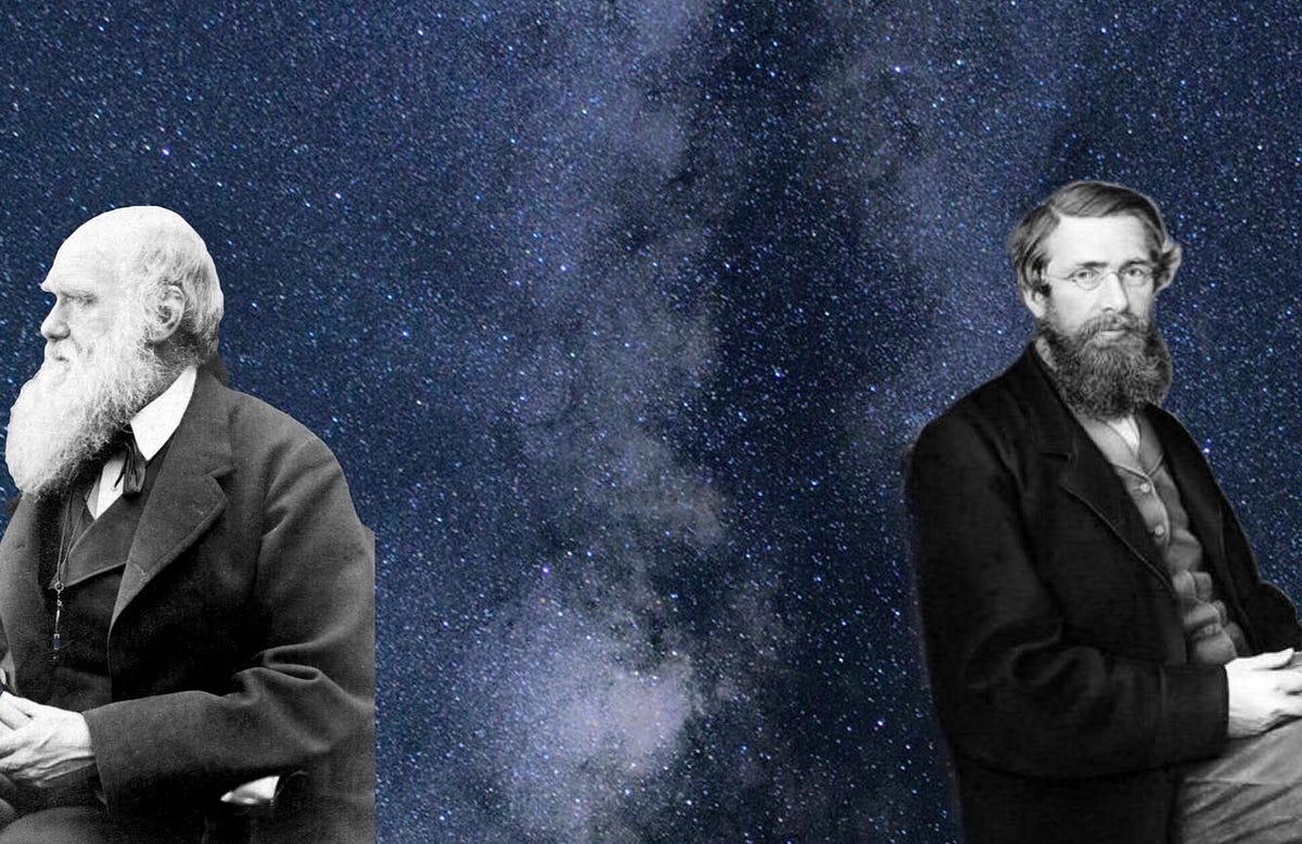 Why did Darwin and Wallace have disagreement? by simgesi Medium