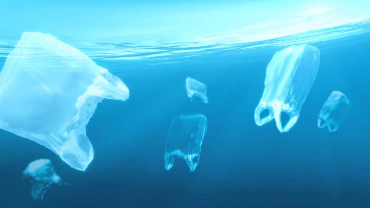 Plan to ban importation of nonbiodegradable plastic bags by Fiji