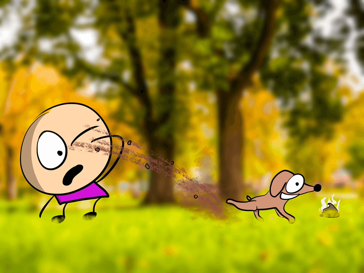 Why Dogs Kick Dirt In The Air After Pooping by David B. Clear I