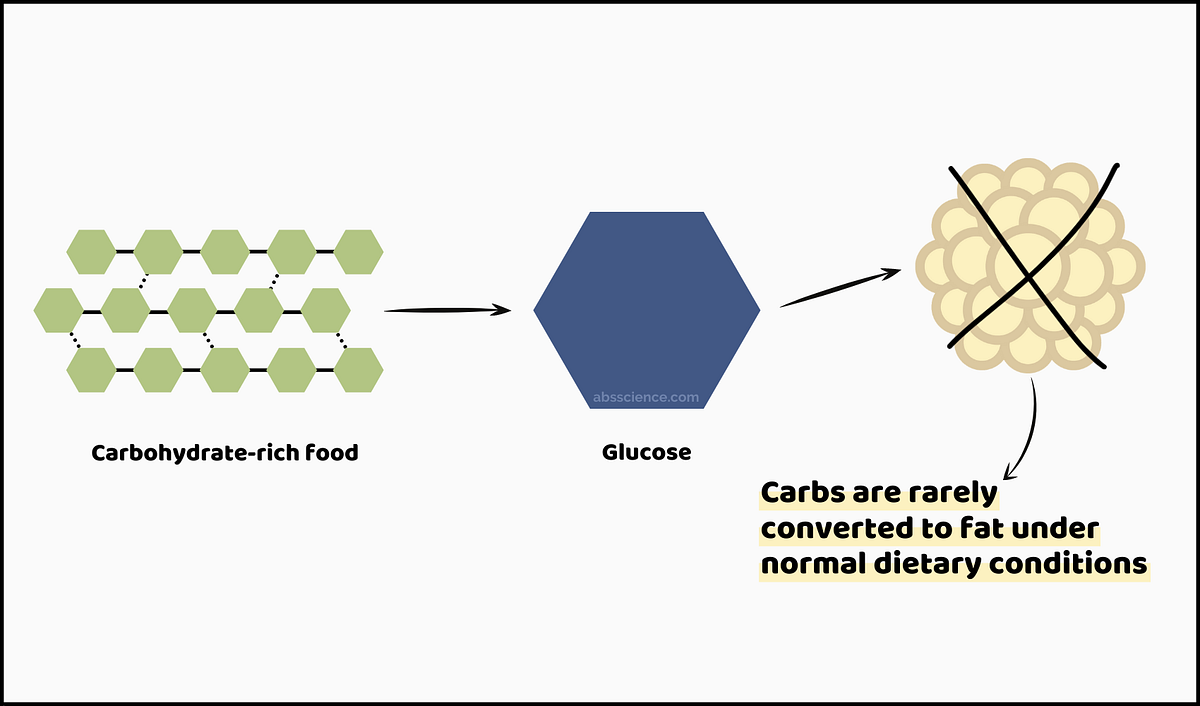Carbohydrates Are Rarely Converted to Fat (Seriously) by Egis R. In