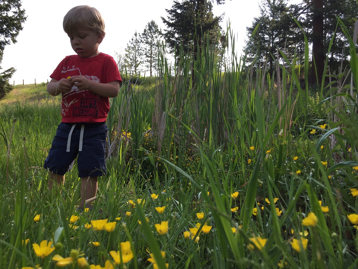 7 Inspiring Stories of Transformation You Won’t Believe! by Kevan