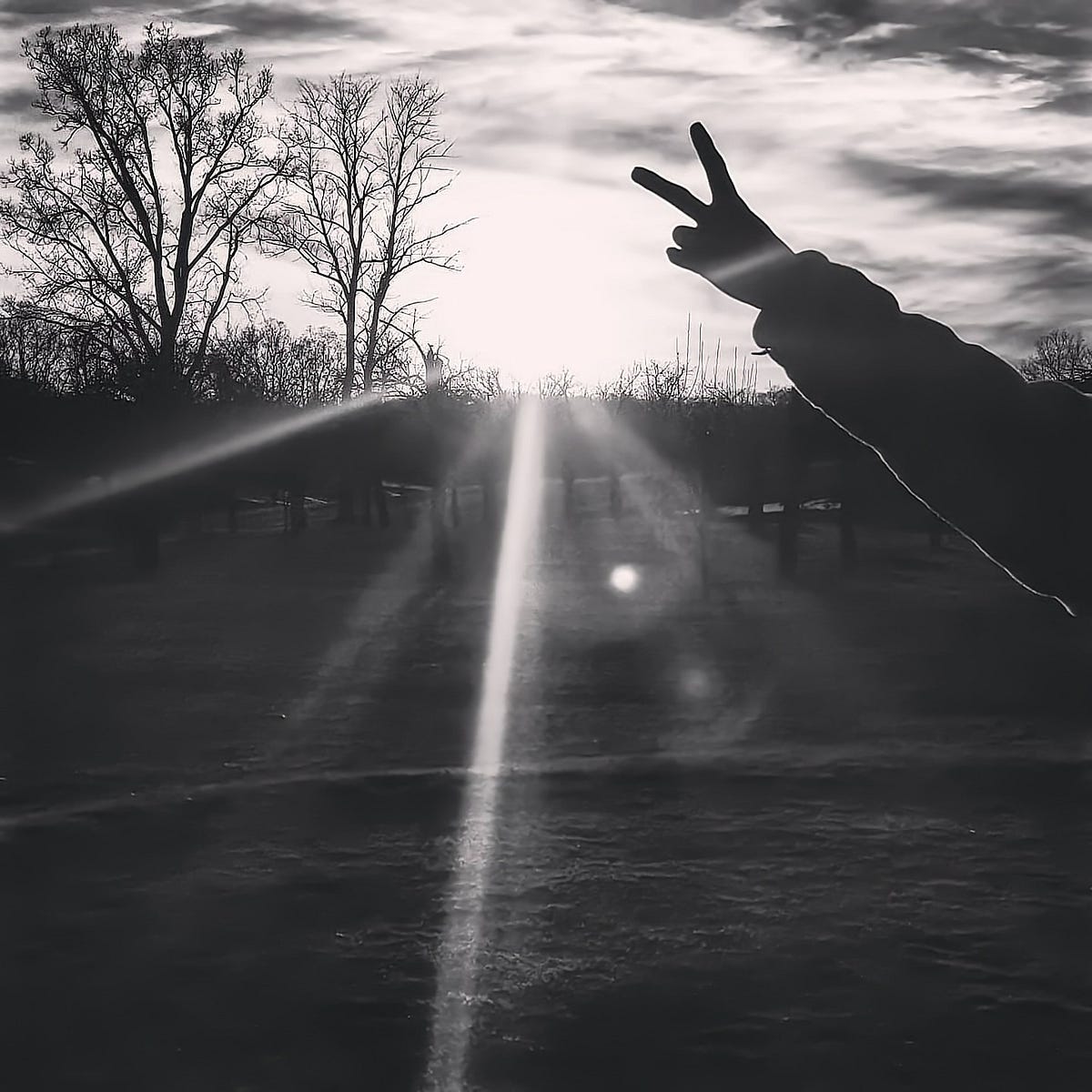 Throw Two Fingers Up! The Lark Medium