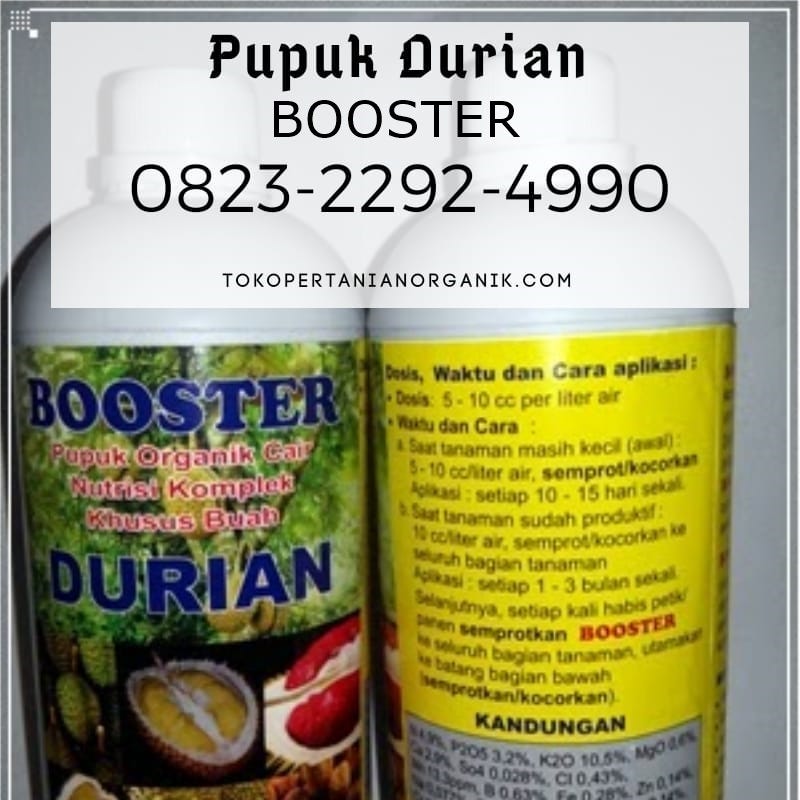 56 Pupuk Hantu Untuk Durian Terbaru