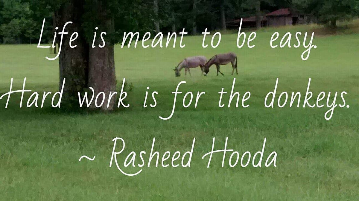What If Life Was Meant To Be Easy by Rasheed Hooda ILLUMINATION