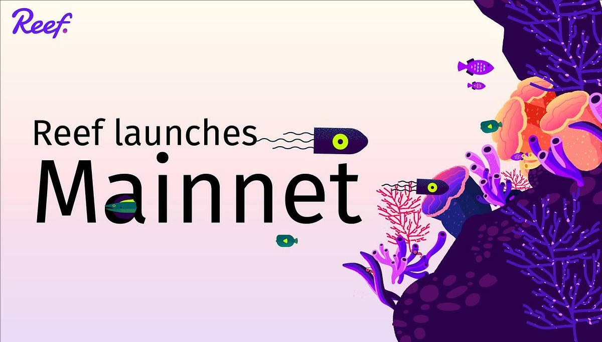 Reef Chain Mainnet — The Blockchain for Next-Gen DeFi DApps — Coming in May