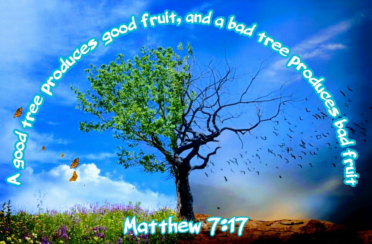 Uma boa árvore não dá frutos podres significado