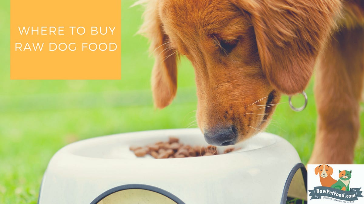 raw dog food delivered