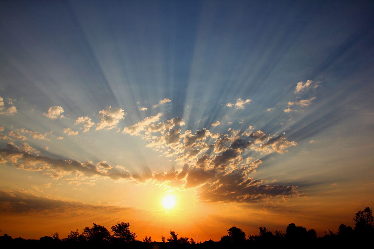 During the pandemic, I developed a spiritual ritual of jogging every morning at sunrise for three miles near my home, in the company of colorful flowe