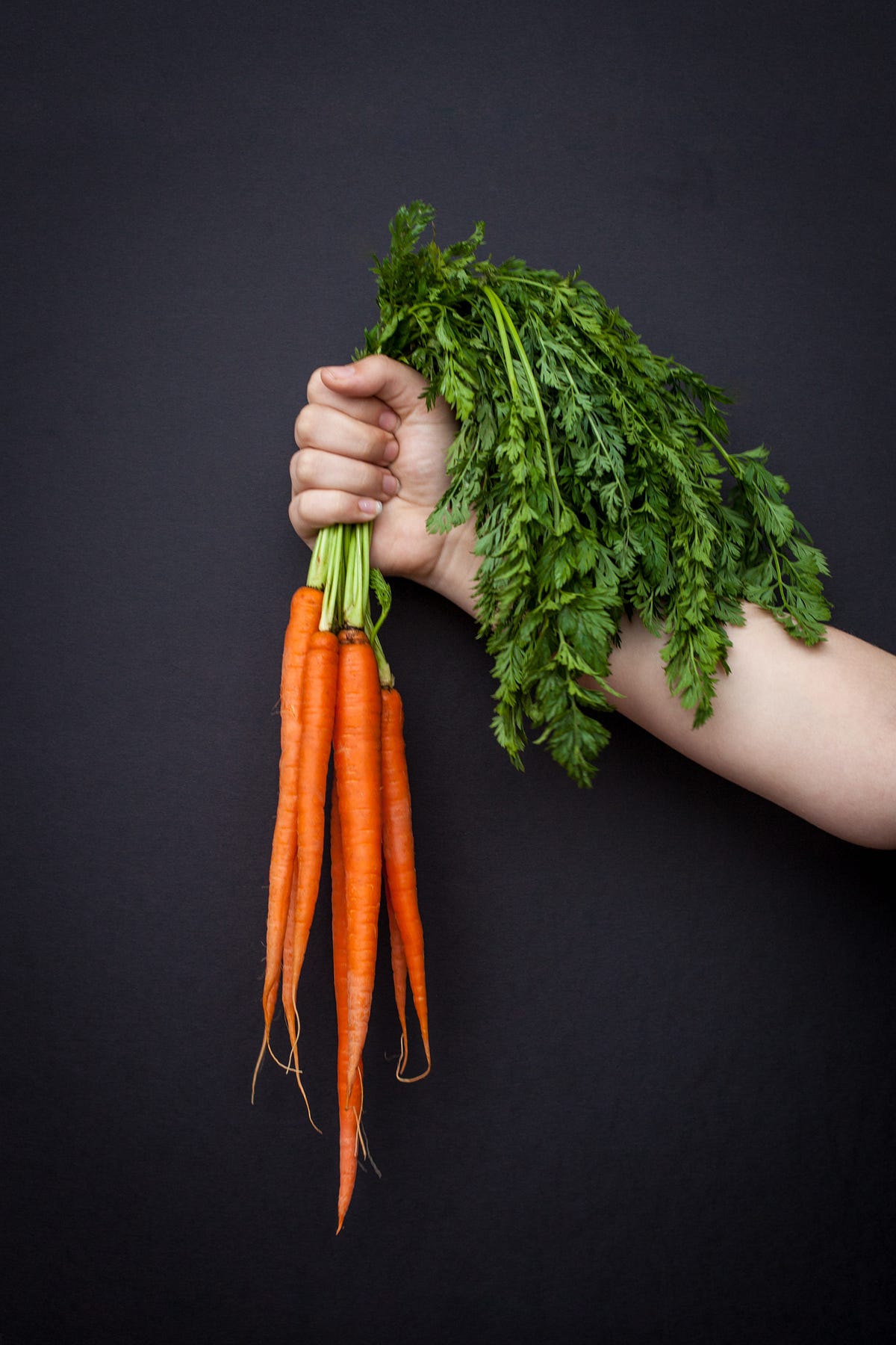 Do Carrots Scream?. Vegetables may not be as silent as we