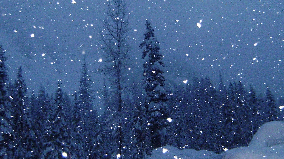 Surviving Darkness in Tallinn. Long dark winter nights can