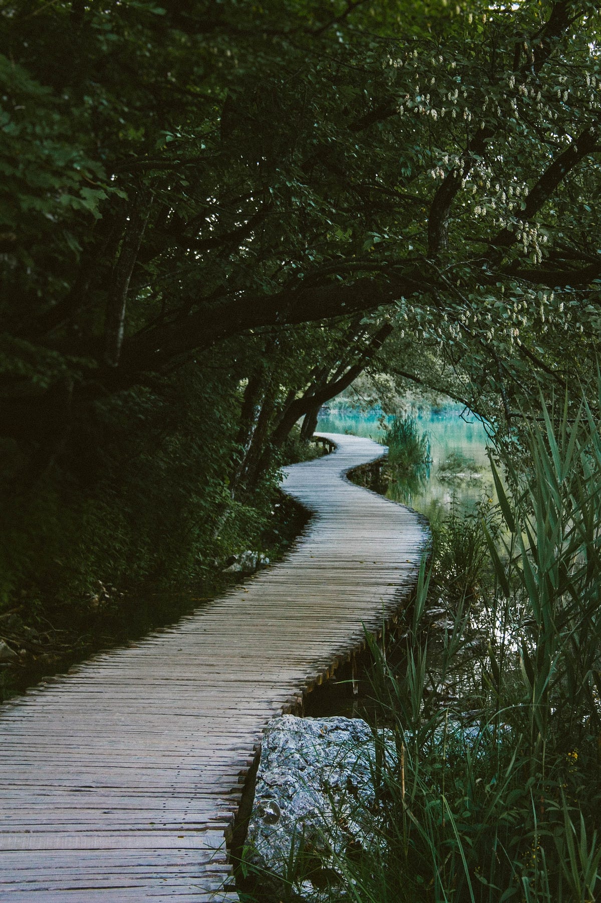 The Quote That Pushed Me to Start Meditating: On the path to mindfulness