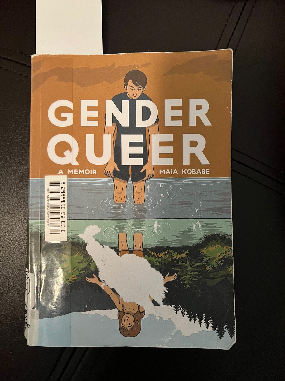 Banned Book of the Week: Gender Queer by Maia Kobabe | by Jeff Roush ...