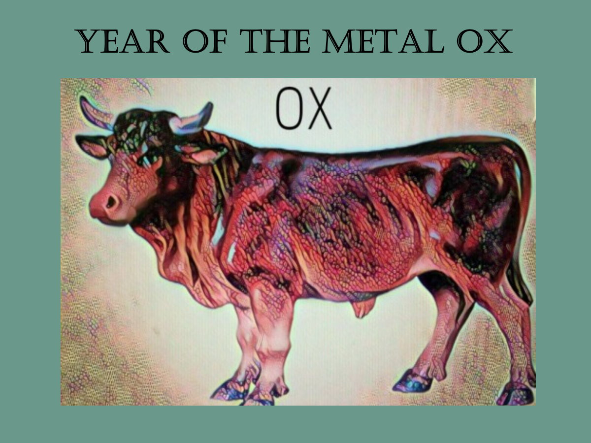 Chinese New Year 2021 Horoscope Predictions For The Year Of The Metal Ox By Tessa Schlesinger I Ll Meet You At The Crossroads Medium