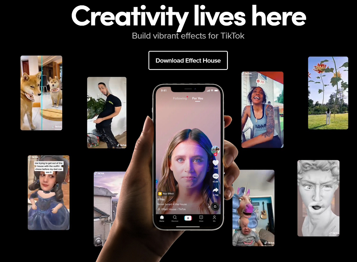 Wanna Make You Own TikTok Filter? Now It’s FREE by Jim Clyde Monge