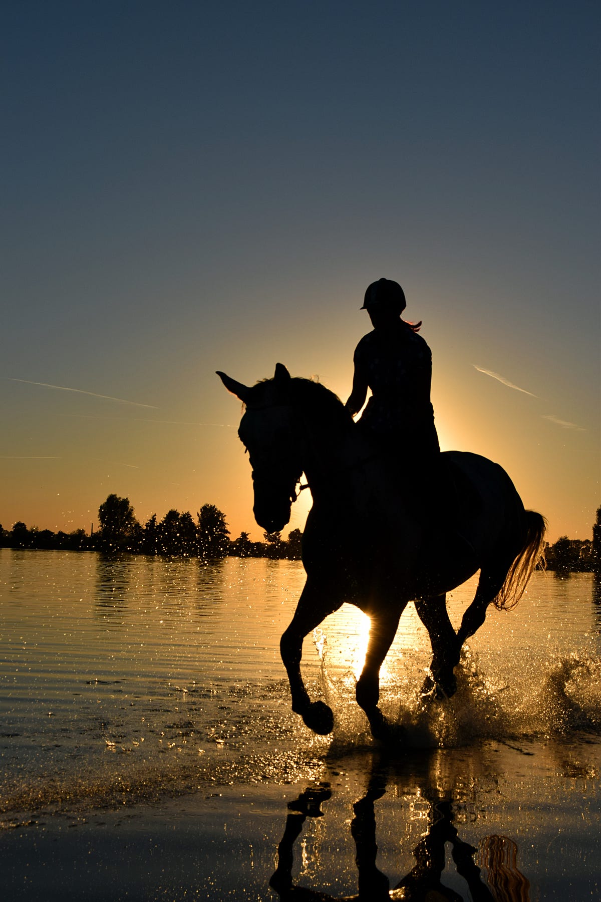 The Differences Between English and Western Horseback Riding by Zoe Reardon Medium
