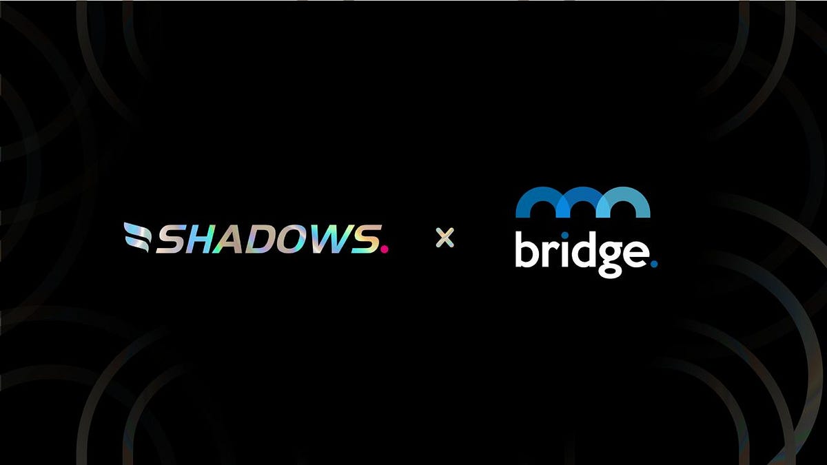 Shadows Network to Introduce DeFi Risk Coverage with Bridge Mutual Partnership