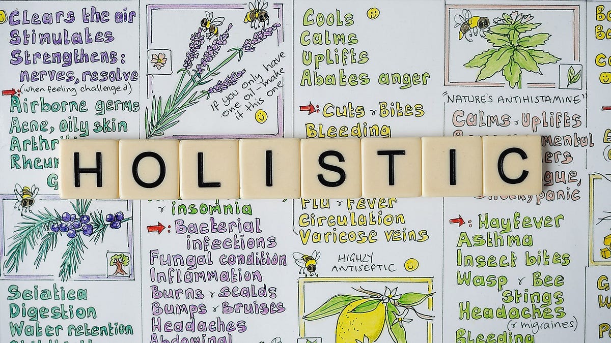 What a Holistic Response to COVID-19 Might Have Looked Like