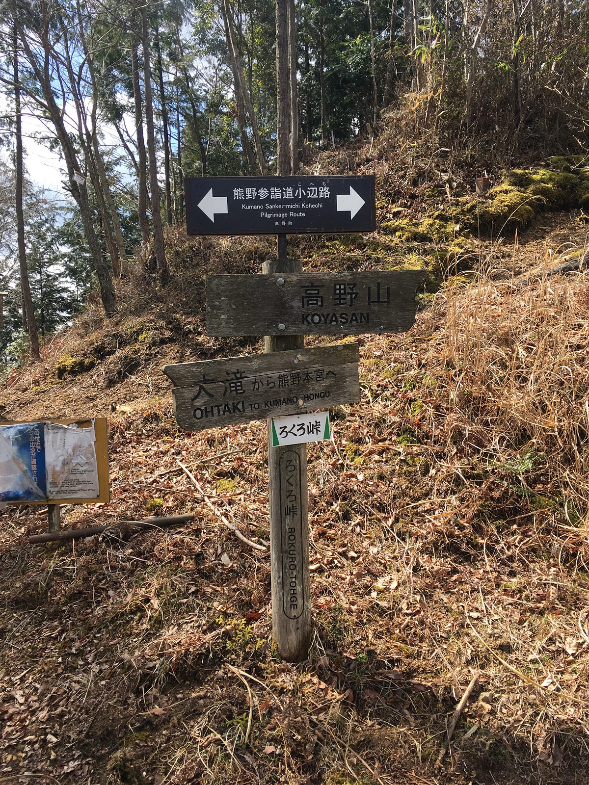 山ガール日誌05 熊野古道小边路 下定決心要離職後 總想著要趁離職後的時間去國外走走 放個長假 自從在ig上看到熊 By Yun Ting Chen Medium