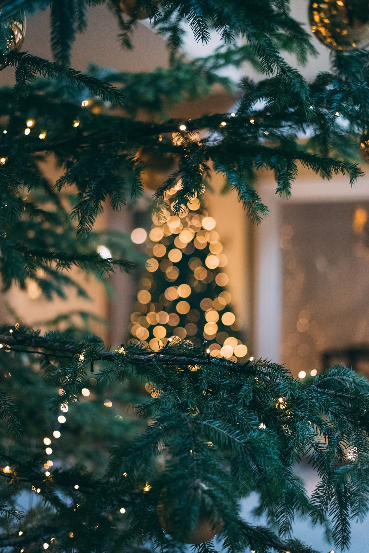 The Top Best Things To Buy In December Including After Christmas