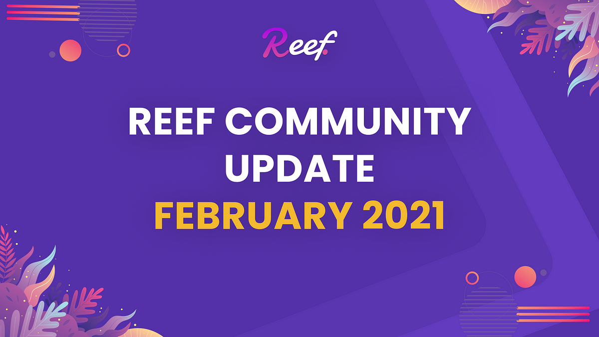 Reef Finance Monthly Review: February 2021