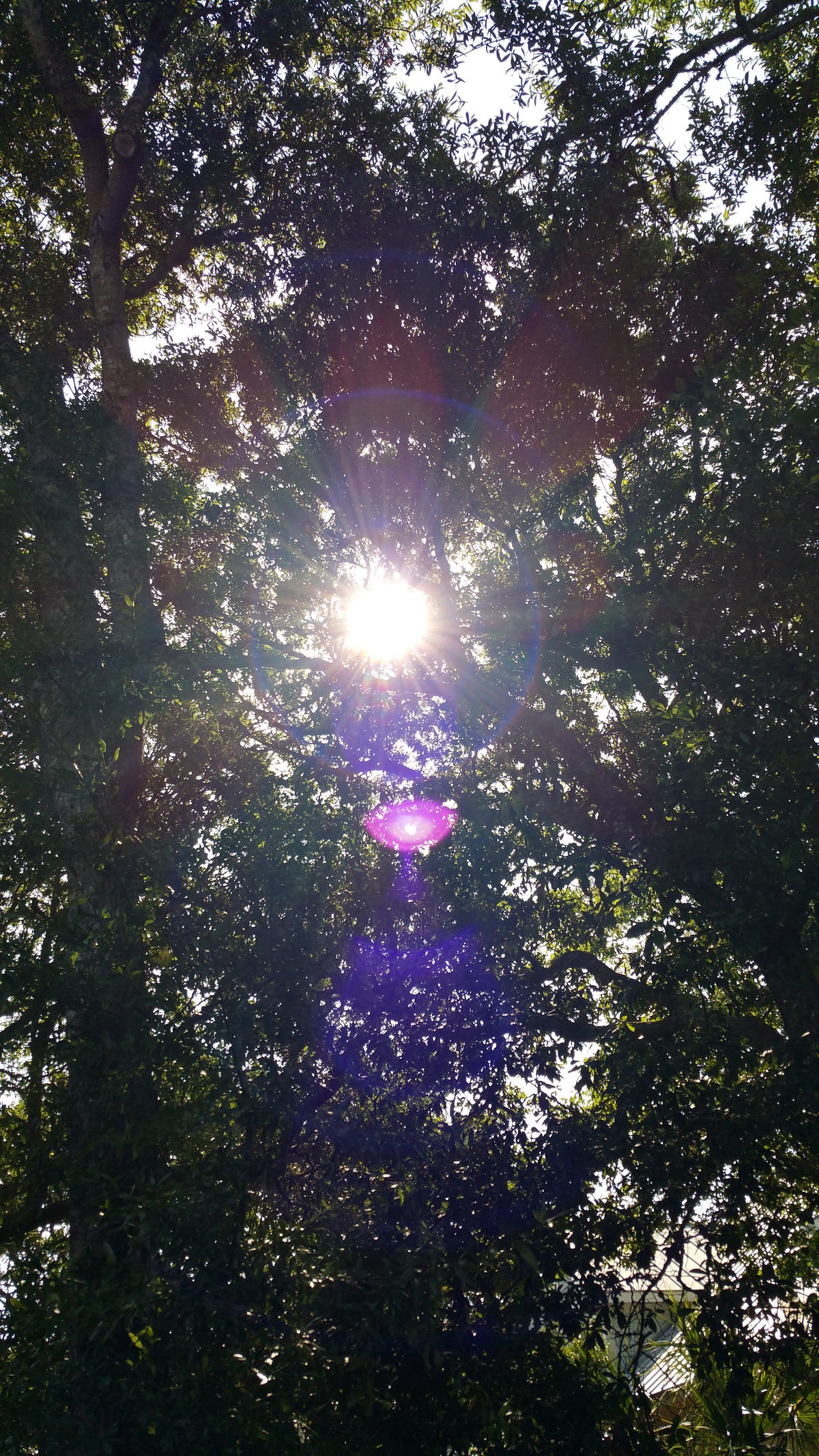 The Insidious Light. All I could do was just lay there. by Timothy Radle Medium