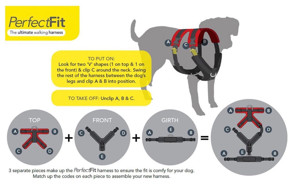 front fitting dog harness