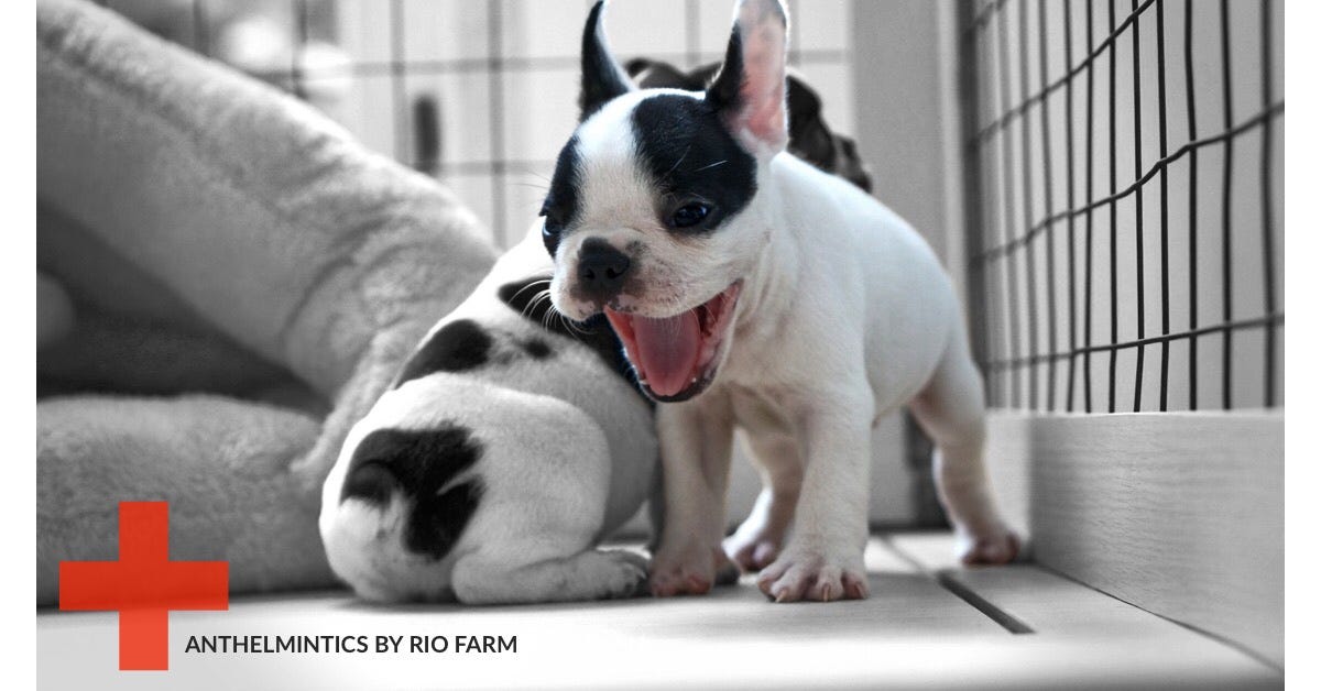 Anthelmintics By Rio Farm Rio Farm