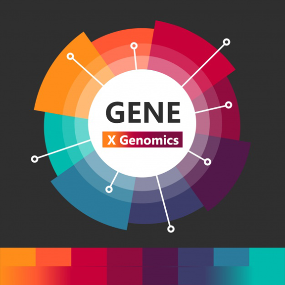 Human Variant Genome Project HVGP Complement Of The Human Genome 
