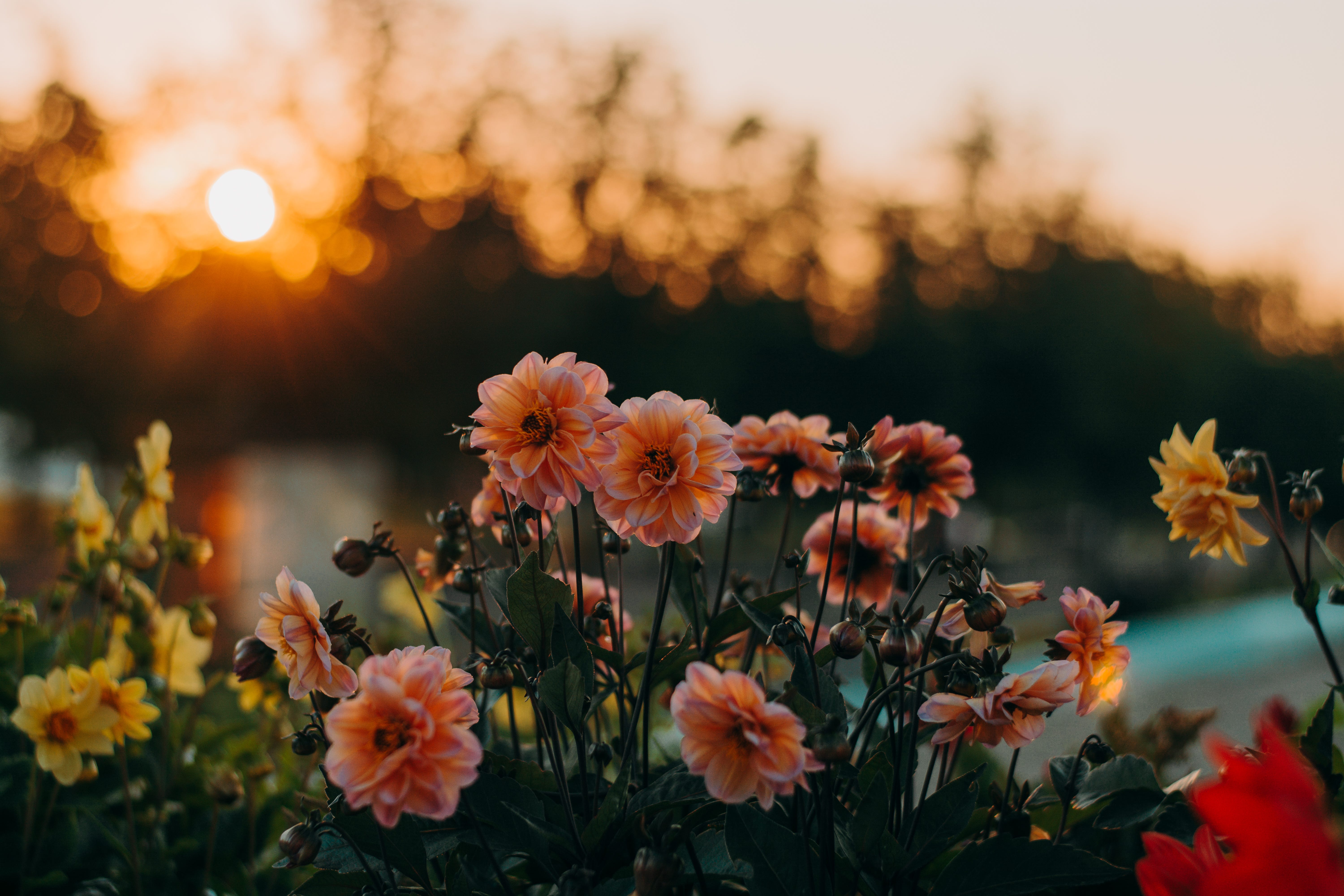 Early Evening Winding Down By Christina Meier Ph D Contemplate Medium