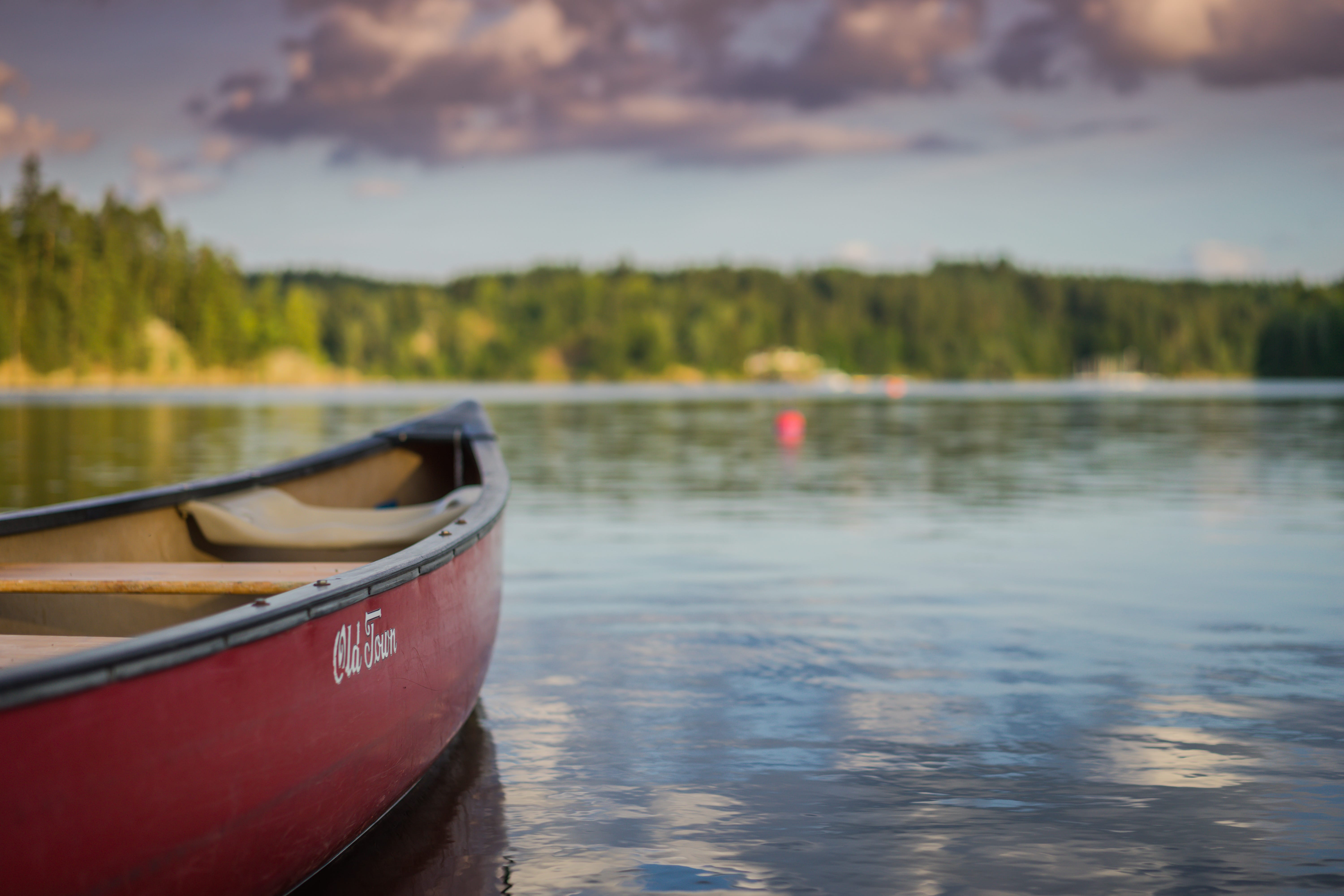 Canoeing in the Rain Shaped My Life by Jarrod Davis The Startup