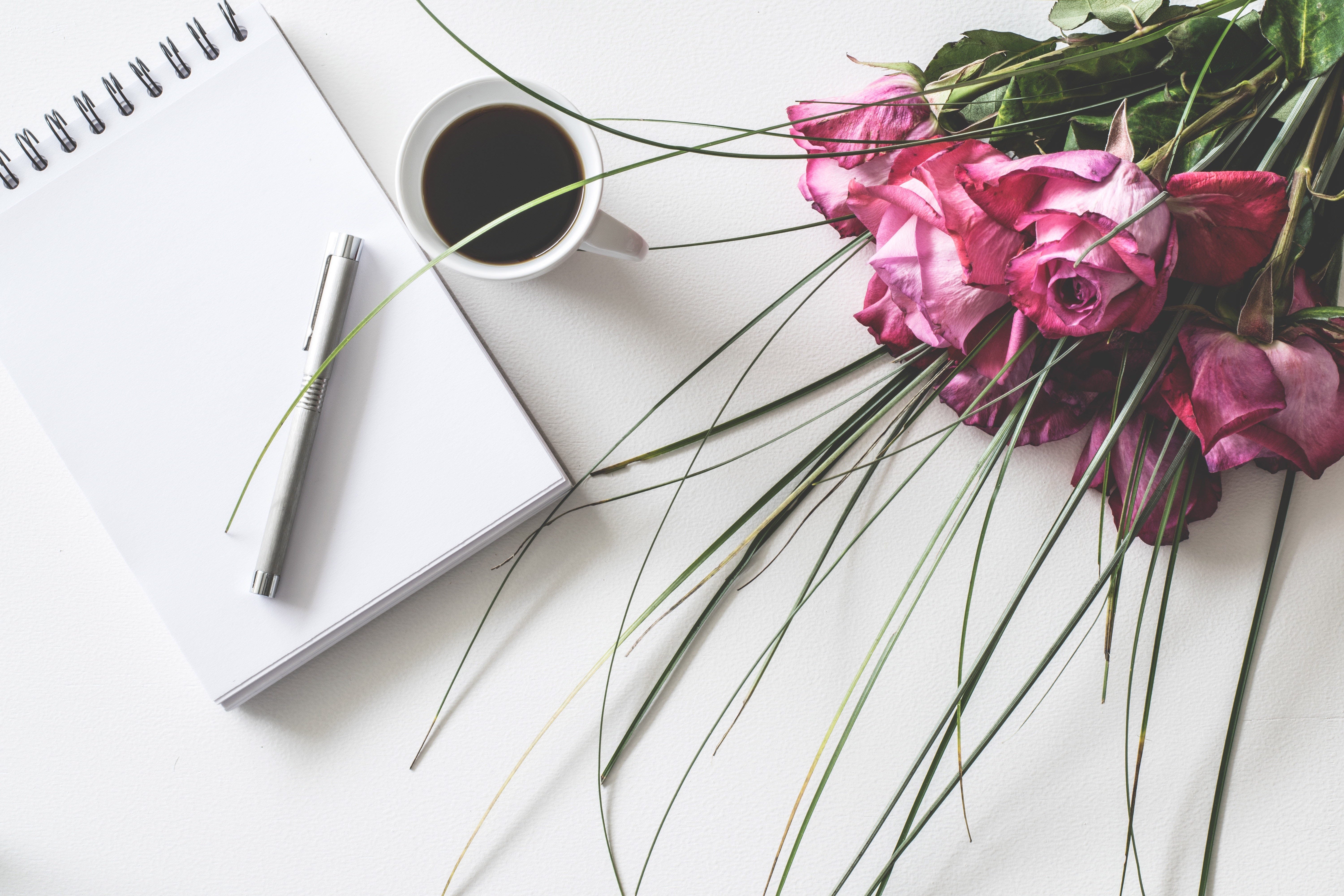 Sarah Turner S Write Your Way To Freedom Course Review By Courtney Ashland Medium