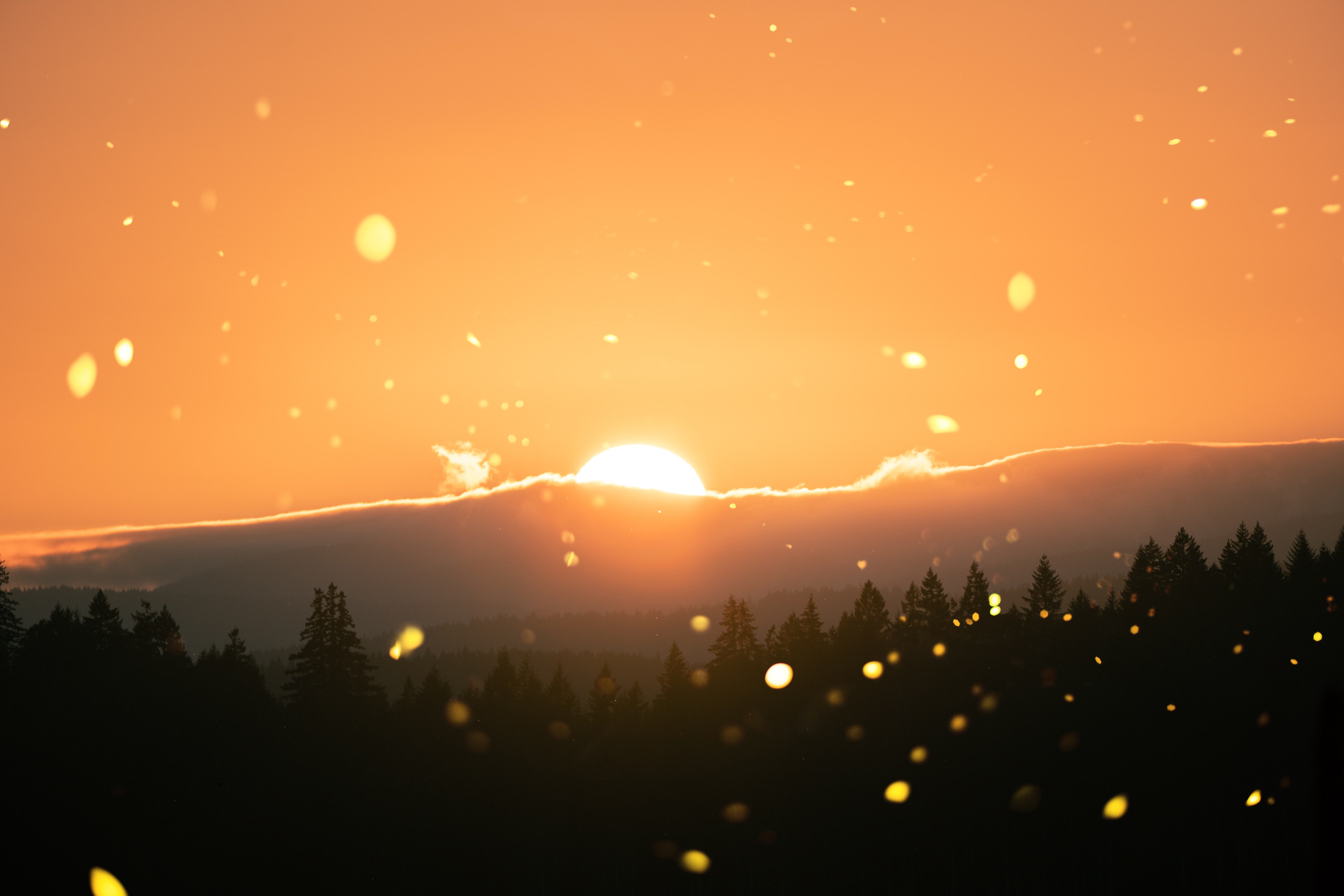 Using Gans To Generate Realistic Images By Victor Sim Nov Towards Data Science