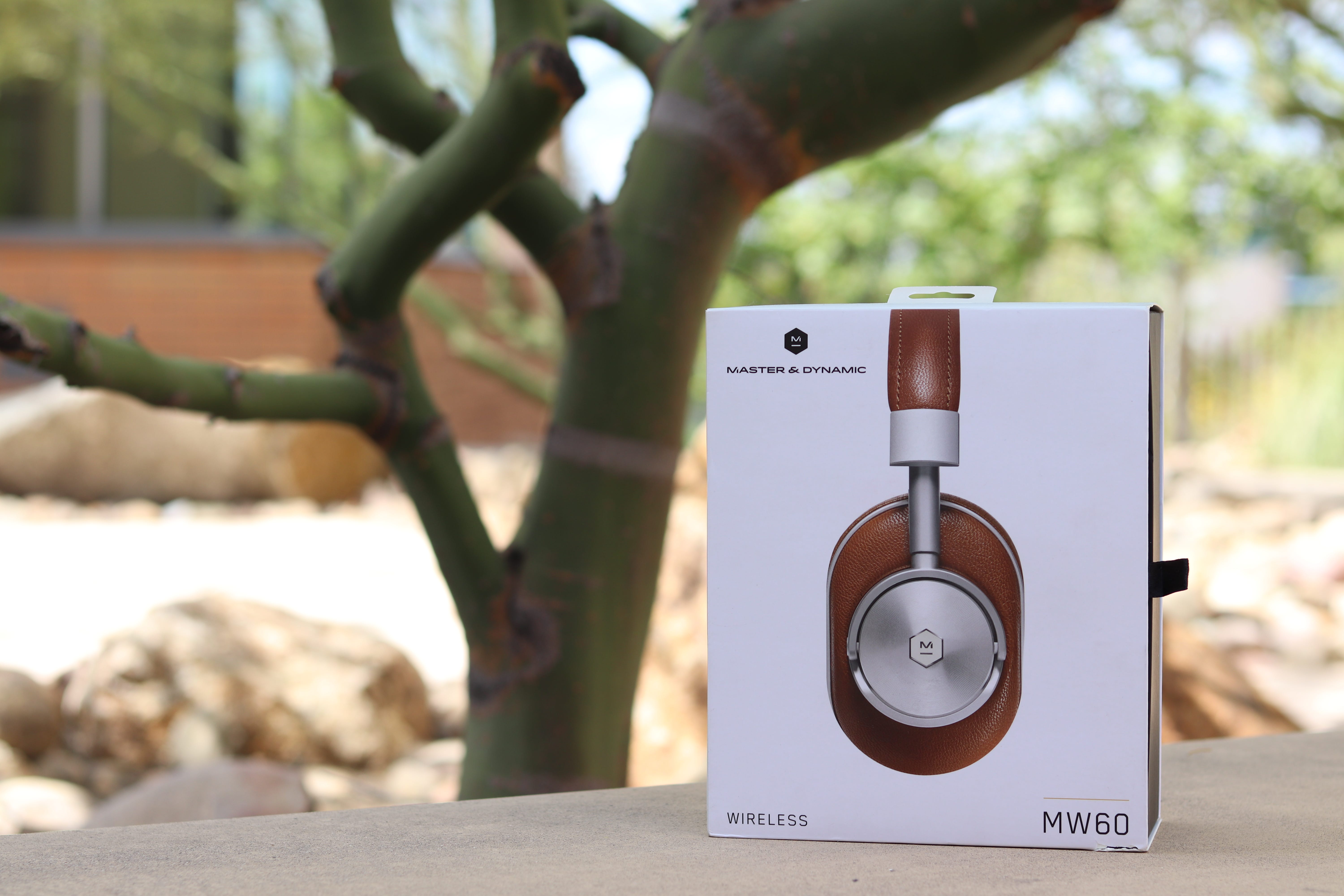master and dynamic mw60