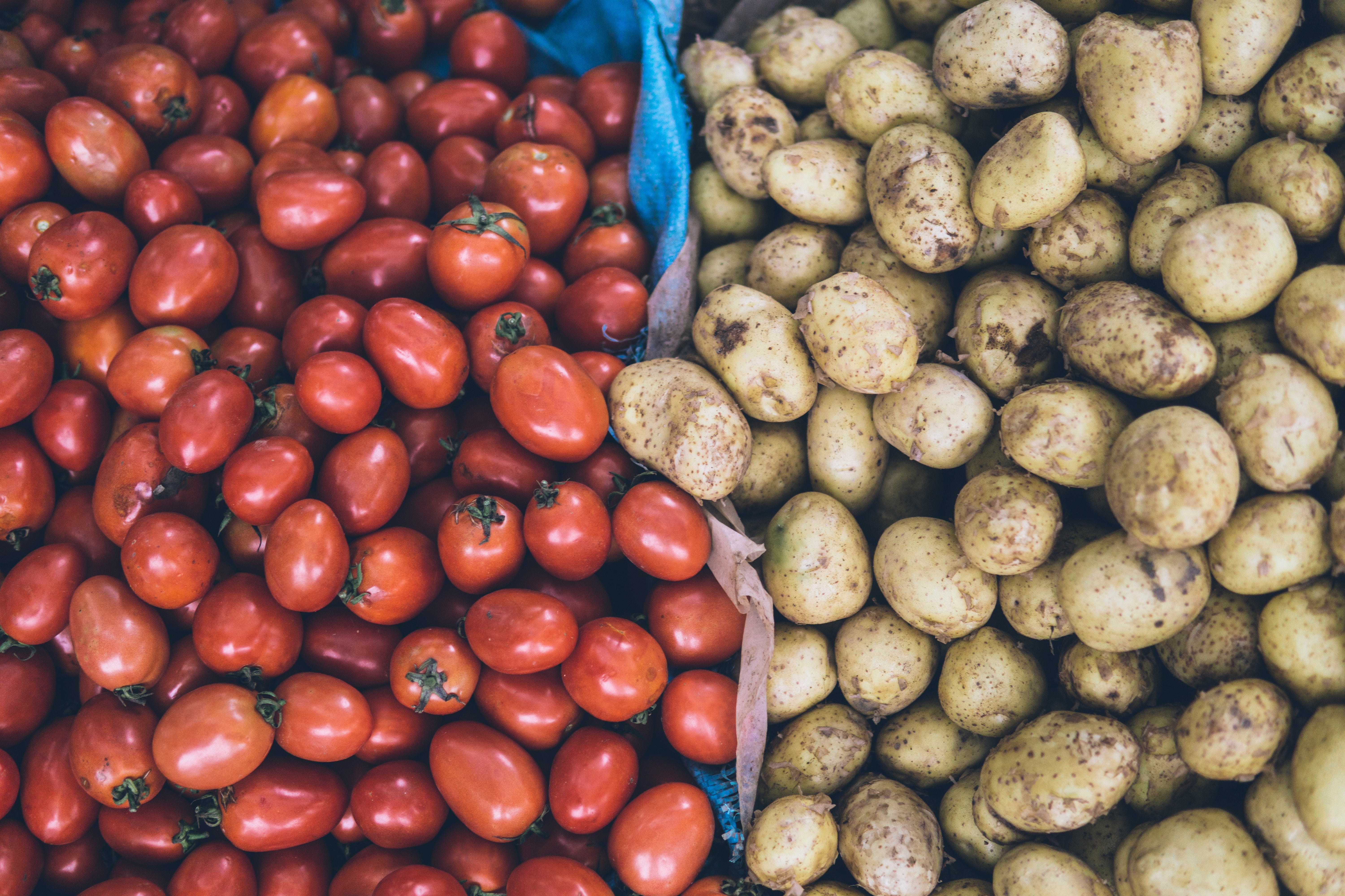9 Ways You Can Keep A Plant Based Diet Low Carb Katie