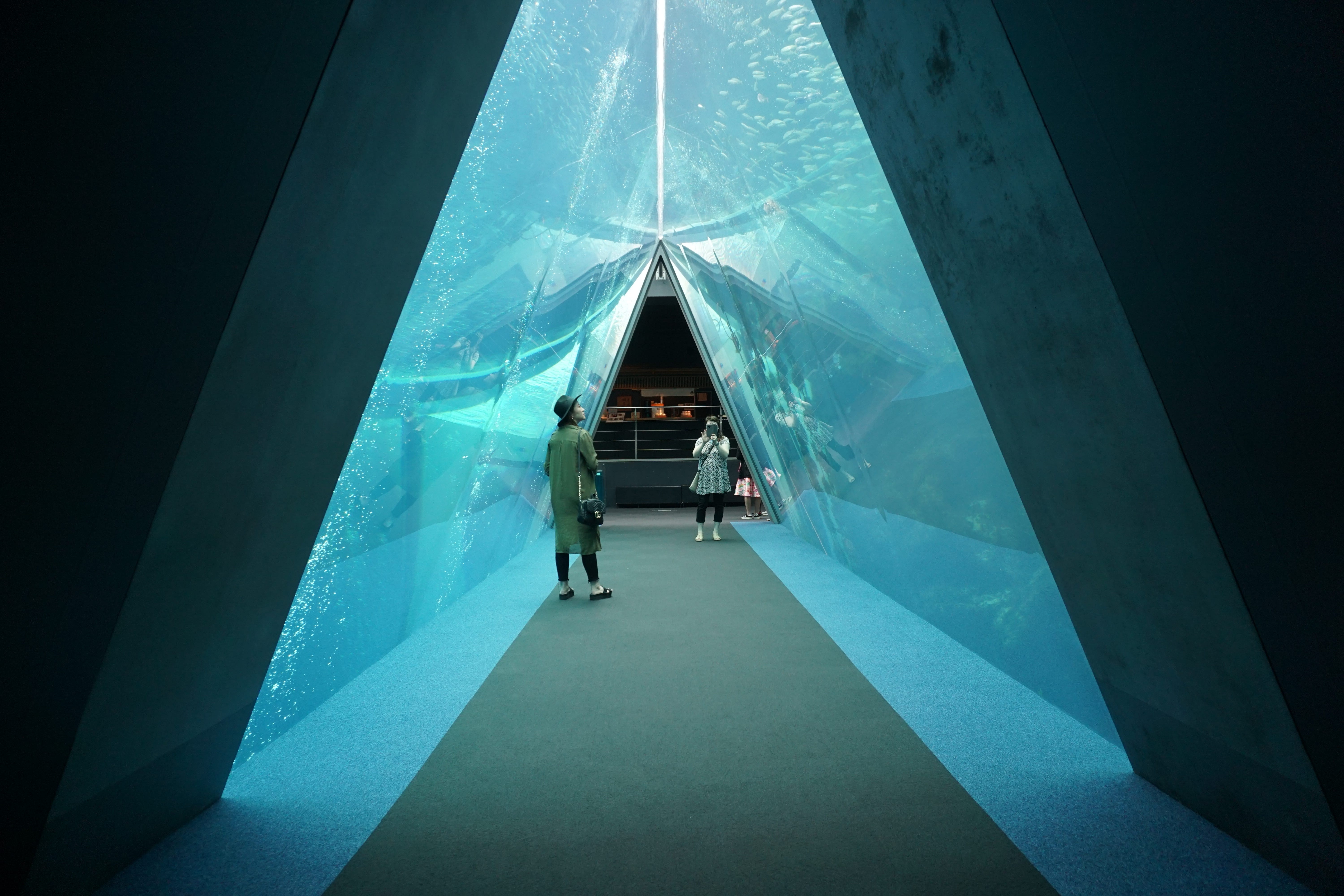 前進福島第一核電廠 四 福島的魚到底能不能吃 讓aquamarine Fukushima 環境水族館 告訴你 By Chang Yu Chieh 福島取材日記 Medium