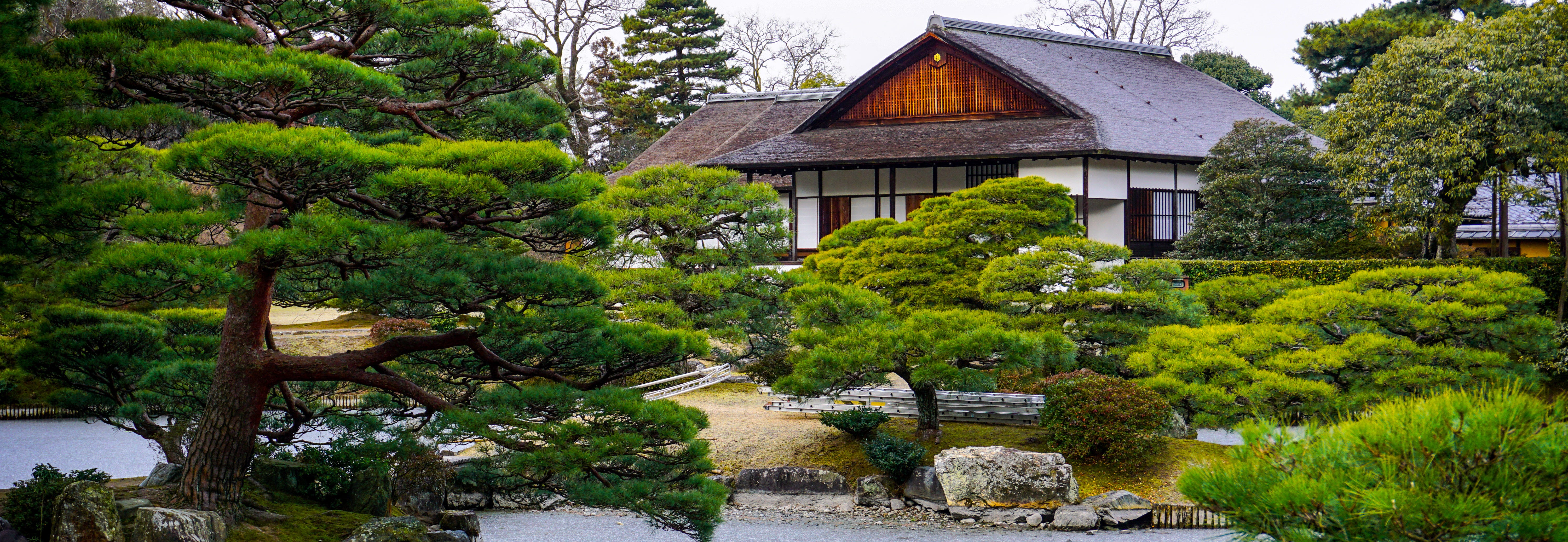 Connecting Traditions Portland Japanese Garden Visits Japan